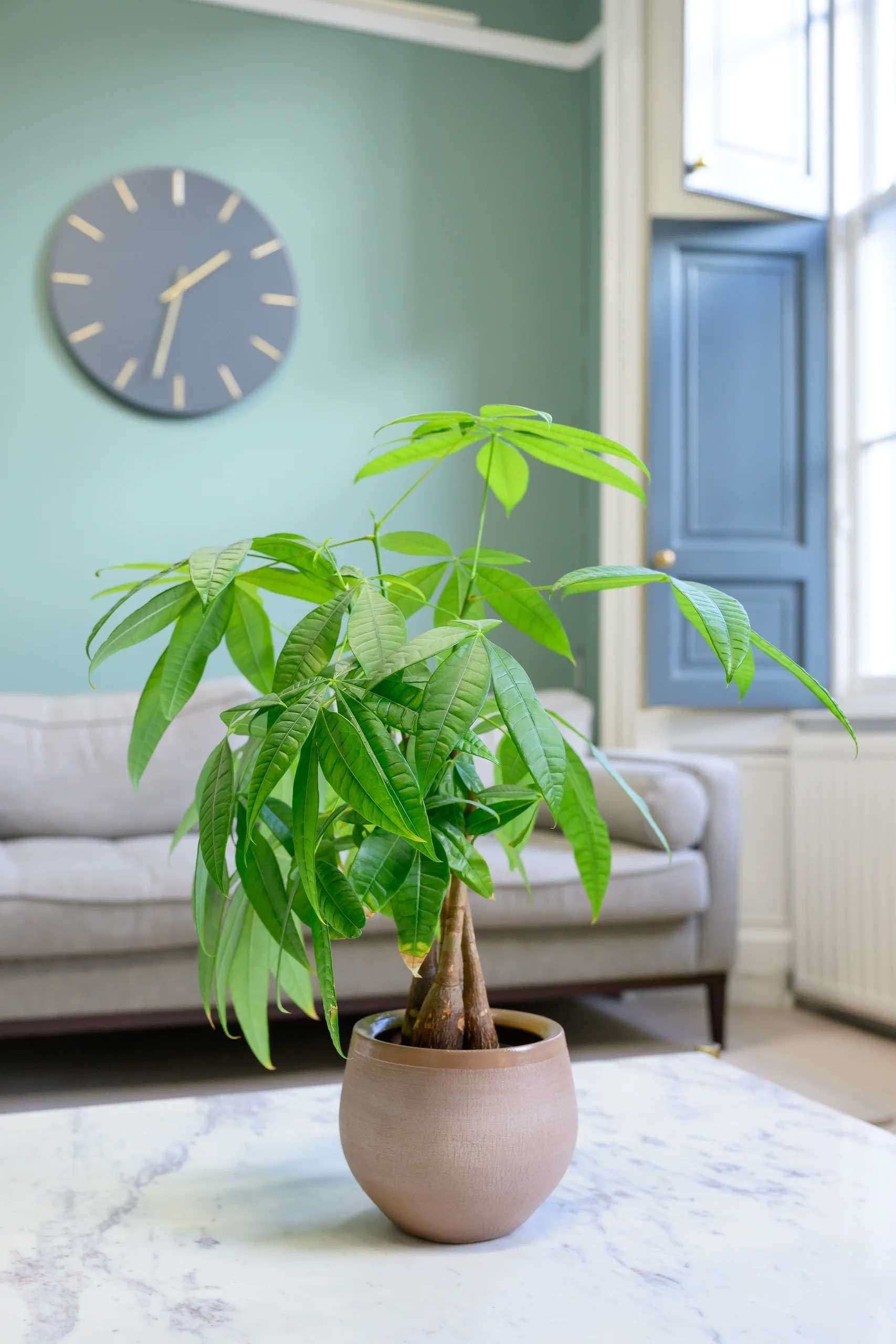 The Anchor Practice is open